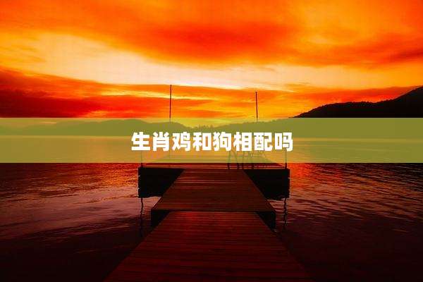 生肖鸡和狗相配吗