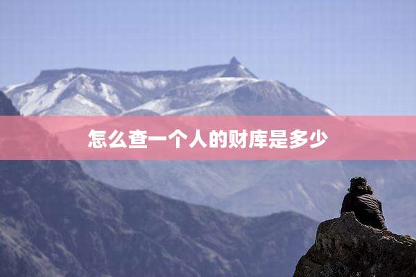 怎么查一个人的财库是多少