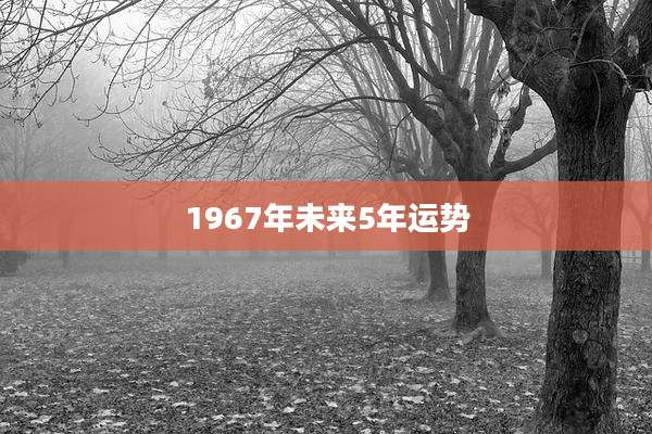 1967年未来5年运势