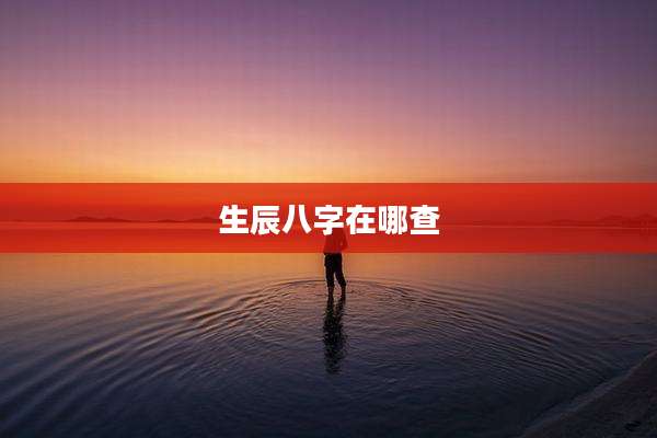 生辰八字在哪查
