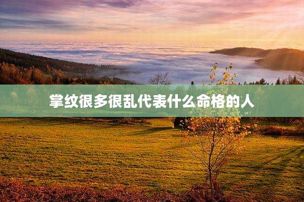 掌纹很多很乱代表什么命格的人