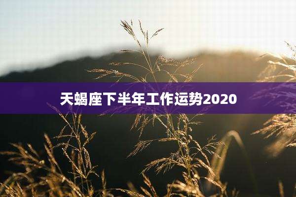 天蝎座下半年工作运势2020