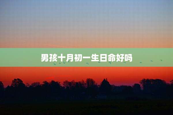 男孩十月初一生日命好吗