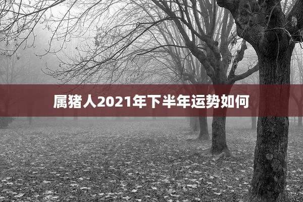 属猪人2021年下半年运势如何