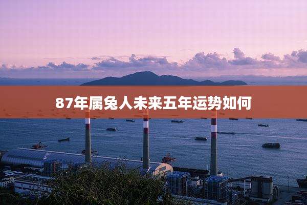87年属兔人未来五年运势如何
