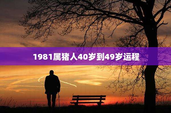 1981属猪人40岁到49岁运程