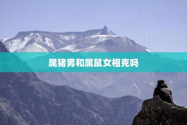 属猪男和属鼠女相克吗