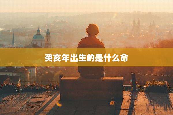 癸亥年出生的是什么命