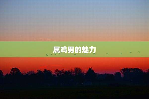 属鸡男的魅力