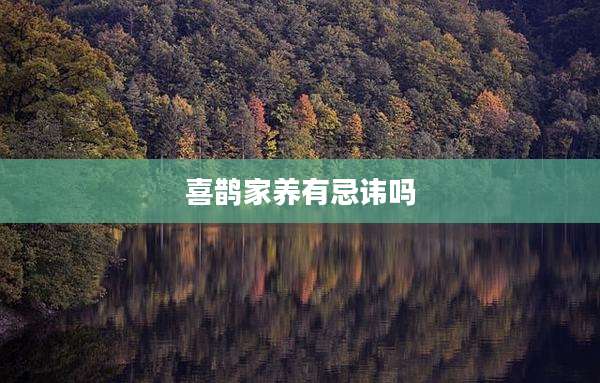喜鹊家养有忌讳吗