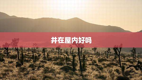 井在屋内好吗