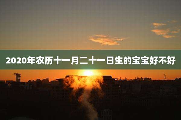 2020年农历十一月二十一日生的宝宝好不好