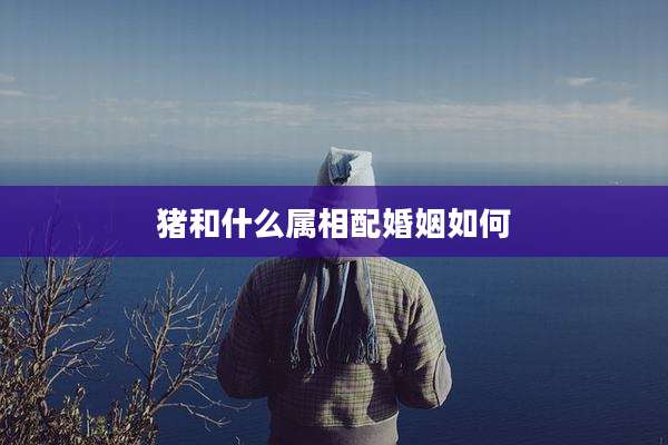 猪和什么属相配婚姻如何