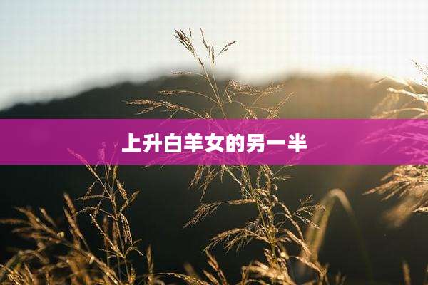 上升白羊女的另一半