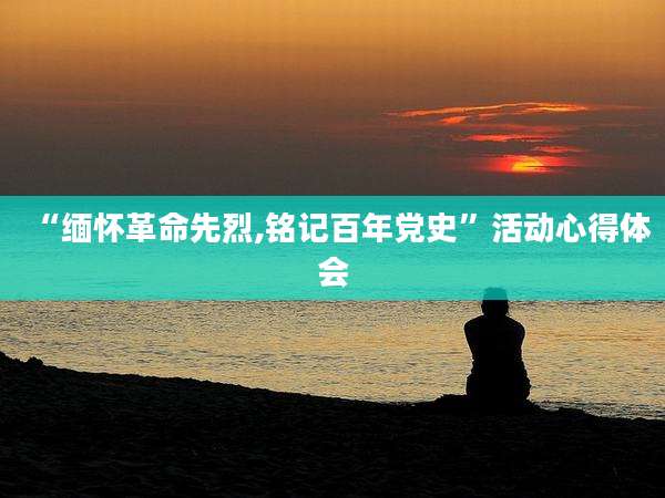 “缅怀革命先烈,铭记百年党史”活动心得体会