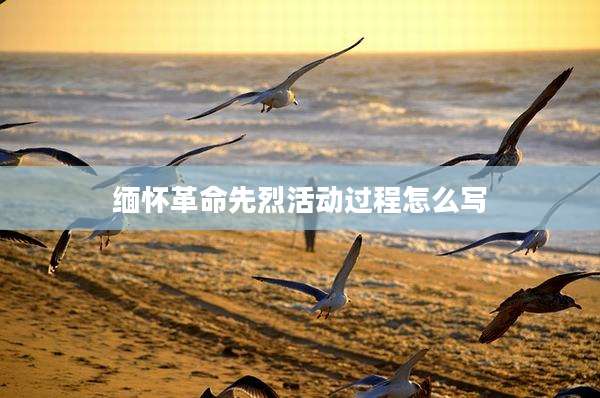 缅怀革命先烈活动过程怎么写