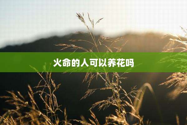 火命的人可以养花吗
