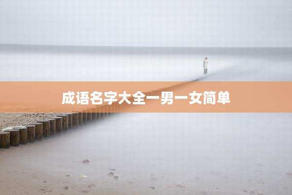 成语名字大全一男一女简单