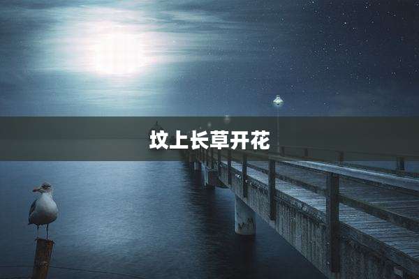 坟上长草开花