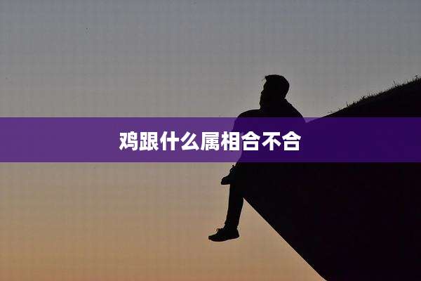 鸡跟什么属相合不合