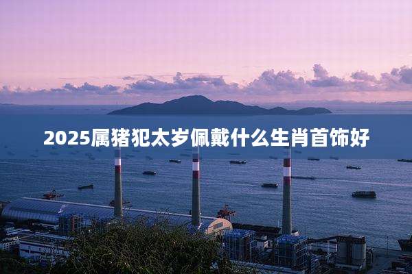 2025属猪犯太岁佩戴什么生肖首饰好