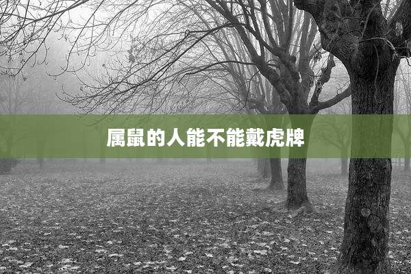 属鼠的人能不能戴虎牌