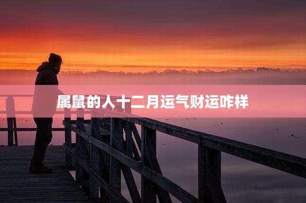 属鼠的人十二月运气财运咋样