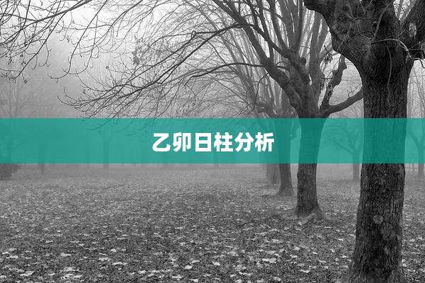 乙卯日柱分析