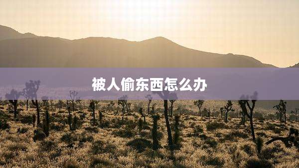 被人偷东西怎么办