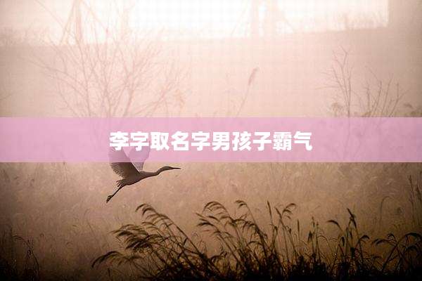 李字取名字男孩子霸气