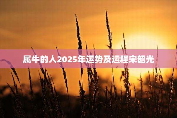 属牛的人2025年运势及运程宋韶光
