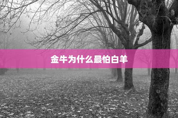 金牛为什么最怕白羊