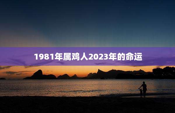 1981年属鸡人2023年的命运