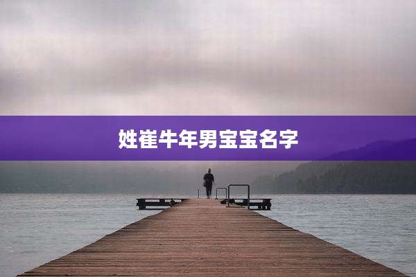姓崔牛年男宝宝名字