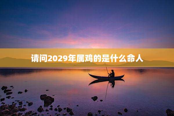 请问2029年属鸡的是什么命人