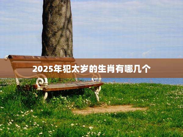 2025年犯太岁的生肖有哪几个