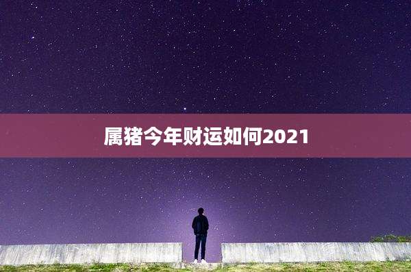 属猪今年财运如何2021