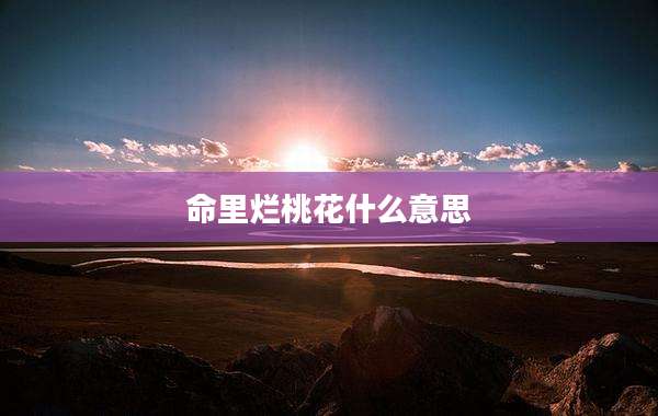 命里烂桃花什么意思