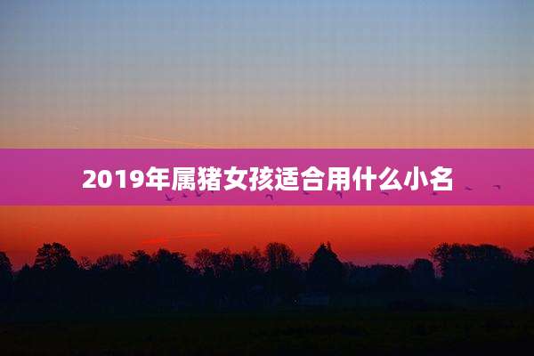 2019年属猪女孩适合用什么小名