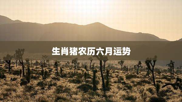 生肖猪农历六月运势