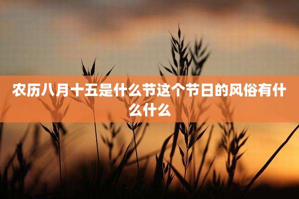 农历八月十五是什么节这个节日的风俗有什么什么