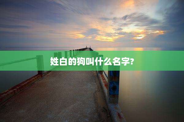 姓白的狗叫什么名字?