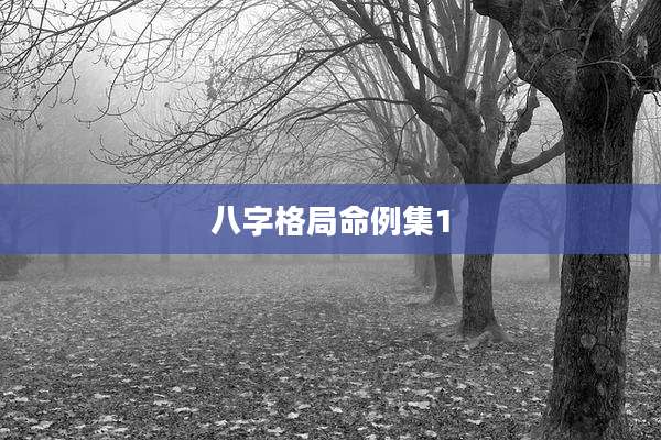 八字格局命例集1