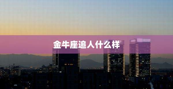 金牛座追人什么样