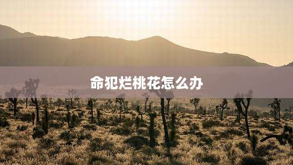 命犯烂桃花怎么办