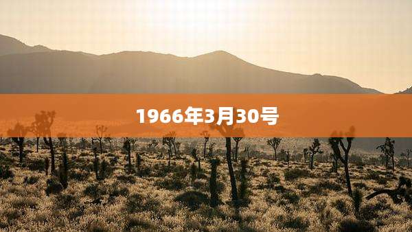 1966年3月30号