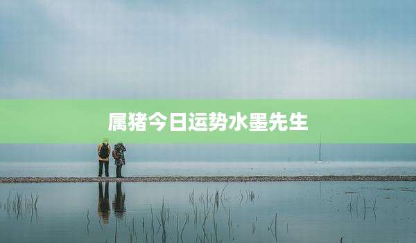 属猪今日运势水墨先生