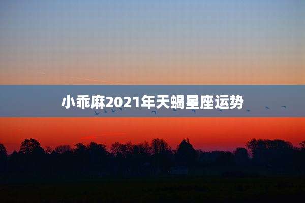 小乖麻2021年天蝎星座运势