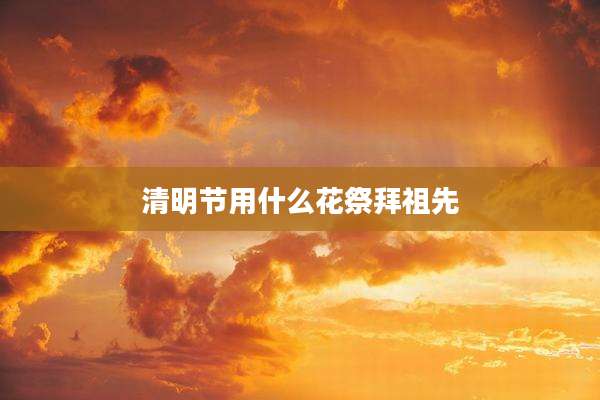 清明节用什么花祭拜祖先