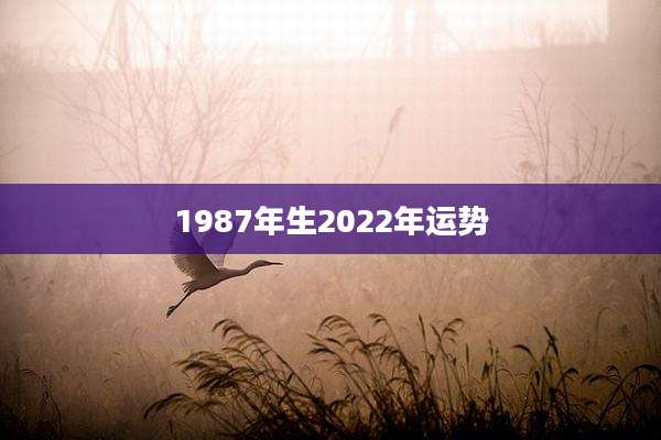 1987年生2022年运势
